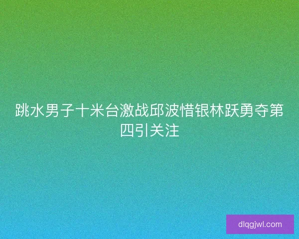 跳水男子十米台激战邱波惜银林跃勇夺第四引关注