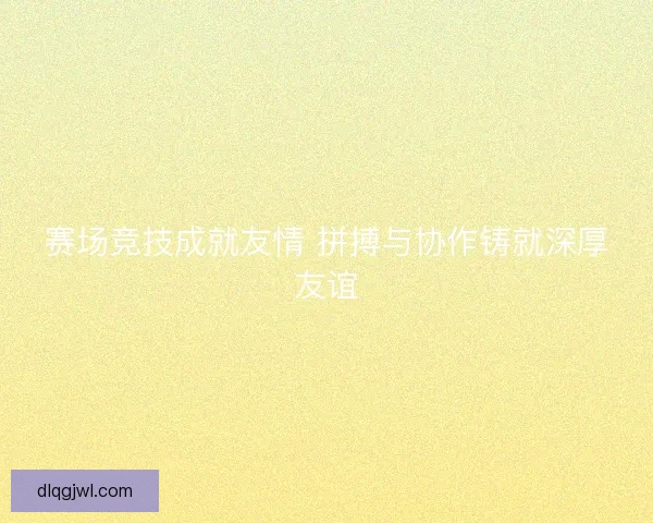 赛场竞技成就友情 拼搏与协作铸就深厚友谊
